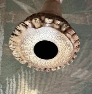 GREAT 2.25 TENSEI LINE JAPANESE SHAKUHACHI JINASHI NATURAL BORE by Perry Yung - Picture 1 of 17