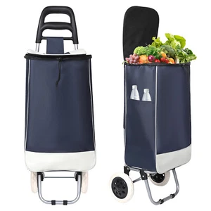 Carrello della Spesa 2in1 Carrello della Spesa Pieghevole Borsa da Trasporto 30L 30KG - Foto 1 di 9