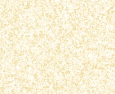 Vanilla/Cream Color Blends Allover Fabric Material - Image 1 of 4
