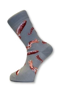 Frederick Thomas hellsilbergrau Herren Baumwollsocken Riesenkalmar Wassermeer - Bild 1 von 1