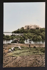 Carte postale CP DJIBOUTI - Palais du Gouverneur - Picture 1 of 1