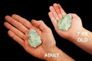 Cristales y piedras curativas naturales de rocas y minerales de 1""-2"" 2-4 oz" amazonite - Imagen 1 de 4