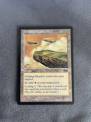 4x Drifting Meadow-Magic MTG - Image 1 of 4
