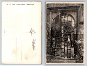 Original Iron Gate of The Keep, Blarney Castle, Cork - Pub. Fergus O'Connor - Bild 1 von 1