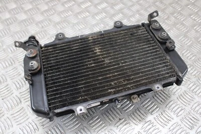 Radiador BMW G310 R 2020 2016 - 2020 Foto 1 de 4