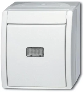 Busch-Jaeger Wipptaster,mit Beleuchtung 2621 WGL-54 IP44 alpinweiß Taster - Bild 1 von 1