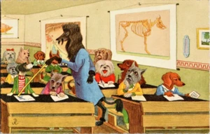 Vintage Postkarte Hunde in der Schule Welpenlehrer anthropomorph - Bild 1 von 2