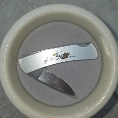 Cuchillo Buck USA 525 acero inoxidable águila pescadora 3" en estuche de piedra obra de arte original 1997 RARO Foto 1 de 4