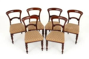 Set Victorian Dining Chairs Balloon Back Mahogany - Picture 1 of 8