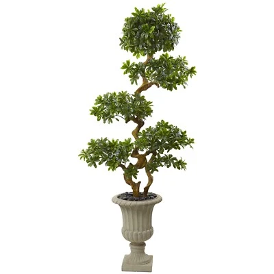 Árbol Pittosporum Artificial 6' en Urna Decoración UV (Interior/Exterior). Venta al por menor $499 Foto 1 de 3
