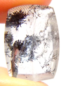 IP-4  Dendrite Quartz 10.81ct 17x12x6mm Cushion, picture stone garden branches - Picture 1 of 5