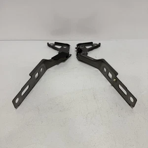 2007 - 2015 AUDI Q7 - FRONT LEFT & RIGHT HOOD HINGES PAIR SET GRAY OEM - Foto 1 di 11