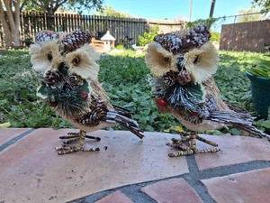 Ashland Featherly Friends Bird OWL Set di 2 Natale 7" Decorazione Casale Naturale - Foto 1 di 9