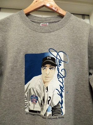 Camiseta Pullover Joe DiMaggio Gráfica Manga Larga Gris Niño Mediana Foto 1 de 4