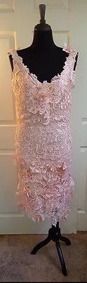 Vestido de novia midi Flapper Gatsby rosa rubor bordado en 3D doble encaje espalda en V Foto 1 de 4