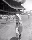 1948 Ted Williams Boston Red Sox Yankee Stadium Baseball PHOTO BG35