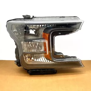FABRICANTE DE EQUIPOS ORIGINALES 18-20 Ford F-150 lado derecho halógeno faro conjunto de faros - Imagen 1 de 13