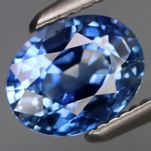 1.27Ct.Ravishing Color Cornflower Blue Normal Heated Sapphire Ceylon Good Luster - Picture 1 of 4