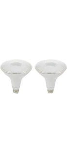 Amazon Basics 120W Equivalent, Dusk to Dawn 2 Count (Pack of 1), Daylight  - Picture 1 of 5