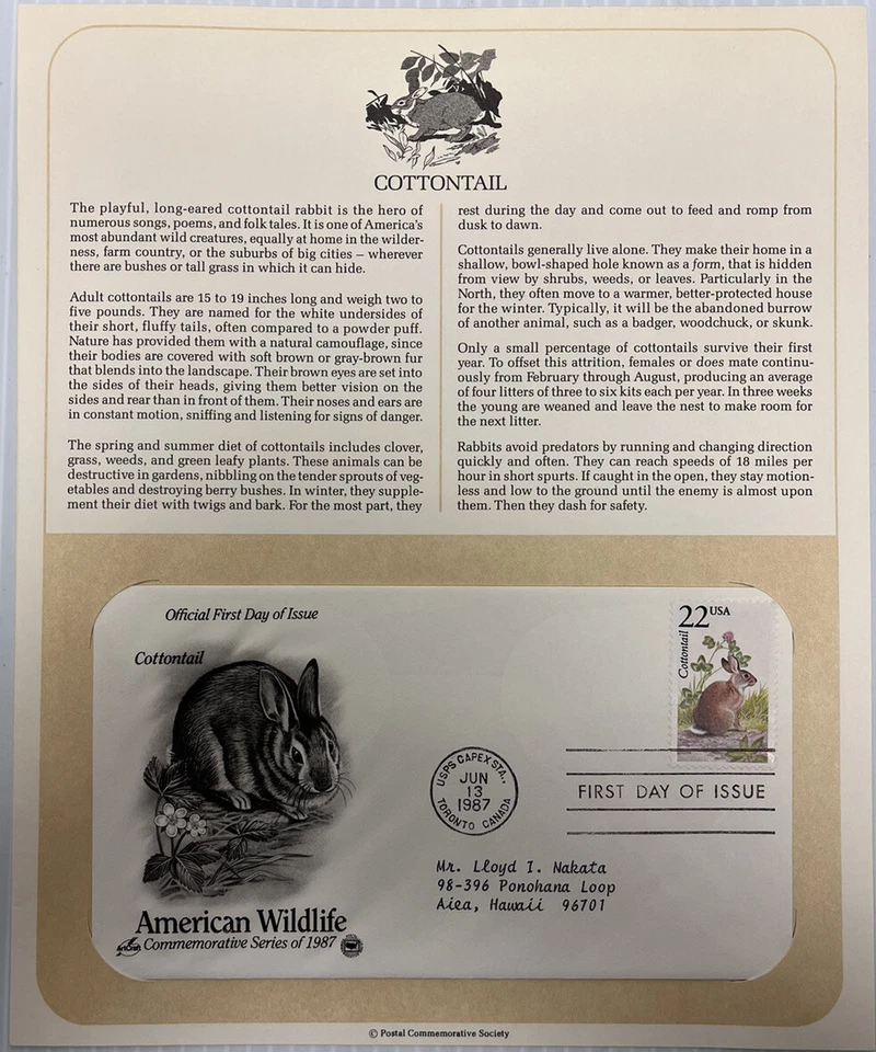 American Wildlife Mail Cover FDC & Info Sheet Cottontail Rabbit 1987 - Image 1 of 3