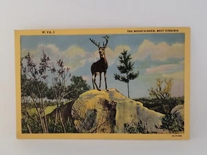Postkarte Schöner Bock Hirsch Der Bergsteiger West Virginia - Bild 1 von 2