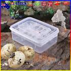 16 Grids Plastic Reptiles Egg Incubator Tray Lizard Eggs Hatcher Box Case *