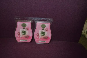 2 Scentsy Wax Brick ( With Grace ) Scentsy Bar 3.2 fl. oz. - Picture 1 of 2