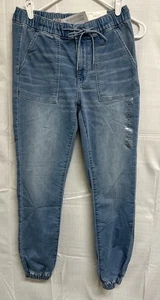 American Eagle Jegging Jogger Size 6 Royalty Light No. 3338 - Picture 1 of 5
