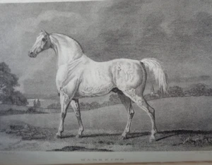 1821 SPORTING MAGAZINE OR MONTHLY CALENDAR 12 PLTS HUNTING HORSE RACING VOL 57 ^ - Picture 1 of 12