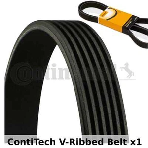 ContiTech V-Ribbed Belt - 6PK1050 , 6 Ribs - Fan Belt Alternator, Drive Belt - Picture 1 of 1