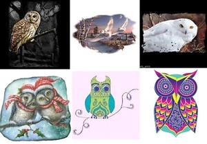 Owl HEAT PRESS MACHINE TRANSFER for Application on T Shirt Hoodie Fabric - Picture 1 of 7