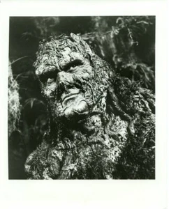 SWAMP THING ORIGINAL 8X10" PHOTO #A2323 - Bild 1 von 1