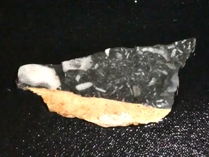 Losa de piedra fósil-3 3/4" x 1 1/2"- áspera-cabinado-pantalla - Imagen 1 de 3