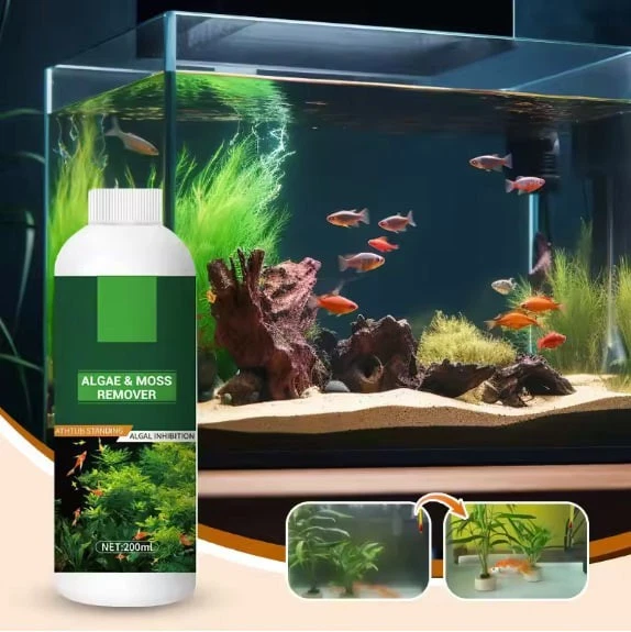 Algae & Moss Remover For Fish Tank 200ml Aquarium Fish Tank Cleaning Agent - image 1 of 4