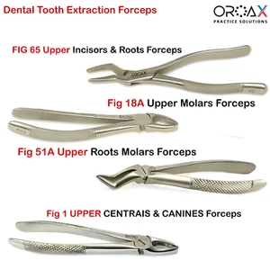 Juego de 4 pinzas de extracción para cirugía dental orale, para raíces superiores - Foto 1 di 5