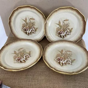 Mikasa Whole Wheat Granola E8001 Set of 4 Stoneware Dinner Plates (4) - Picture 1 of 4