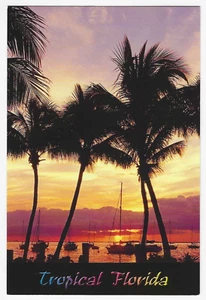 Postal tropical de Florida puesta de sol palmeras veleros - Imagen 1 de 2