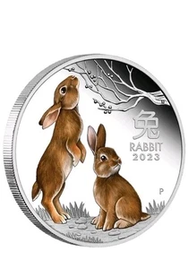 Silbermünze  1 Oz  Lunar Hase 2023 PP Koloriert im Etui Auflage:  7500 NEU  - Bild 1 von 4