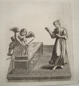 Love Amor protetto dagli insetti ratti incisione su rame P. van der Aa 1703 - Foto 1 di 1