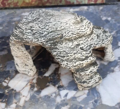  Cachette D'aquarium Terrasse Des Tortues Habitat Pour Reptiles - Photo 1/4