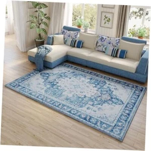 Area Rug 5x7, Vintage Rug with Non Slip Backing, Soft Area Rugs for Bedroom, - Picture 1 of 8
