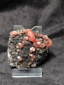 Rhodochrosit Stufe , Fundort: Uchucchacua Mine, Lima, Peru - Bild 1 von 15