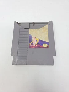 Castle of Dragon Nintendo Entertainment System NES Authentic Cartridge Only - Bild 1 von 7