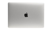 Apple 66107971 13 inch LCD Display for MacBook Pro A1706 (2016) - Silver