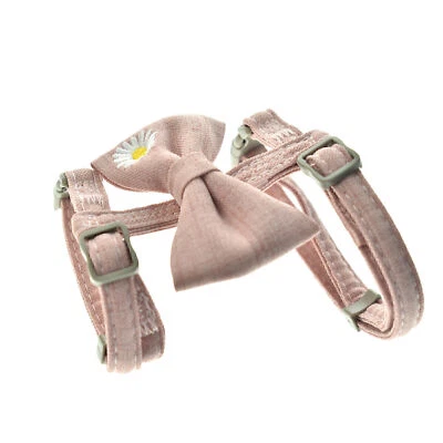 Verstellbares Katzenhalsband Geschirr Leine Set Schleife Kätzchen Halfter Kragen - Bild 1 von 4