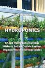 Hydroponics: Cheap Hydroponic System Without Soil to Obtain Perfect Organic Frui