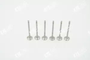 6x Soupape de Vidange 132025379R Renault Clio Captur Twingo 0.9 90PS 76PS 92PS - Picture 1 of 2