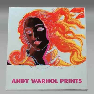 Andy Warhol Prints A Catalogue Raisonne 1995 Dust Jacket 1st Edition - Imagen 1 de 2