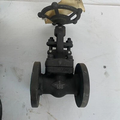 FRONTLINE AUSTRALASIA 1" INCH flanged globe valve DN25 25mm Class 150 A105N - Image 1 of 4