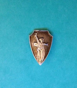 USSR Pinback The Motherland calls! Great Patriotic War WWII Soviet Vintage badge - Picture 1 of 4